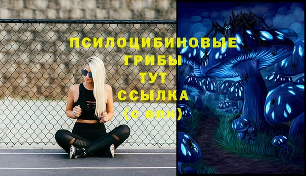эйфоретик Покров