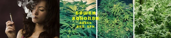 эйфоретик Покров