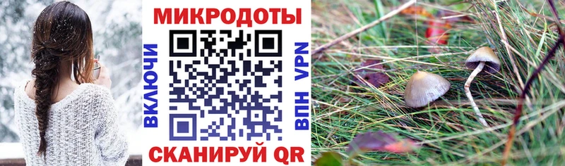 наркота  Асбест  Псилоцибиновые грибы Psilocybe 