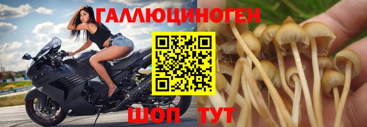 Асбест  Альфа-ПВП  Где купить наркотики?  Канабис  Вход с VPN  Хэш  Меф  NBOMe 