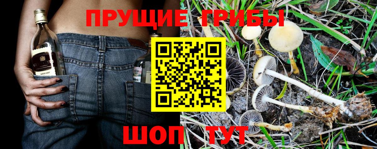 Асбест  Псилоцибиновые грибы прущие грибы  Галлюциногенные грибы Cubensis  Вход с VPN 